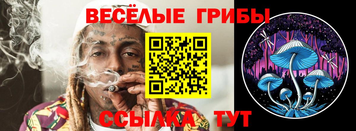 Псилоцибиновые грибы Psilocybe  Галлюциногенные грибы Psilocybine cubensis  Валуйки  Вход с VPN 