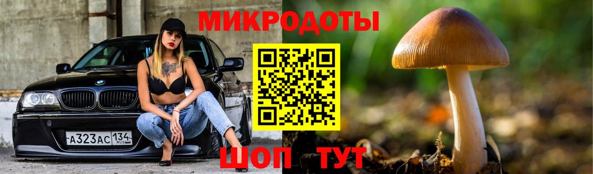Псилоцибиновые грибы MAGIC MUSHROOMS Валуйки